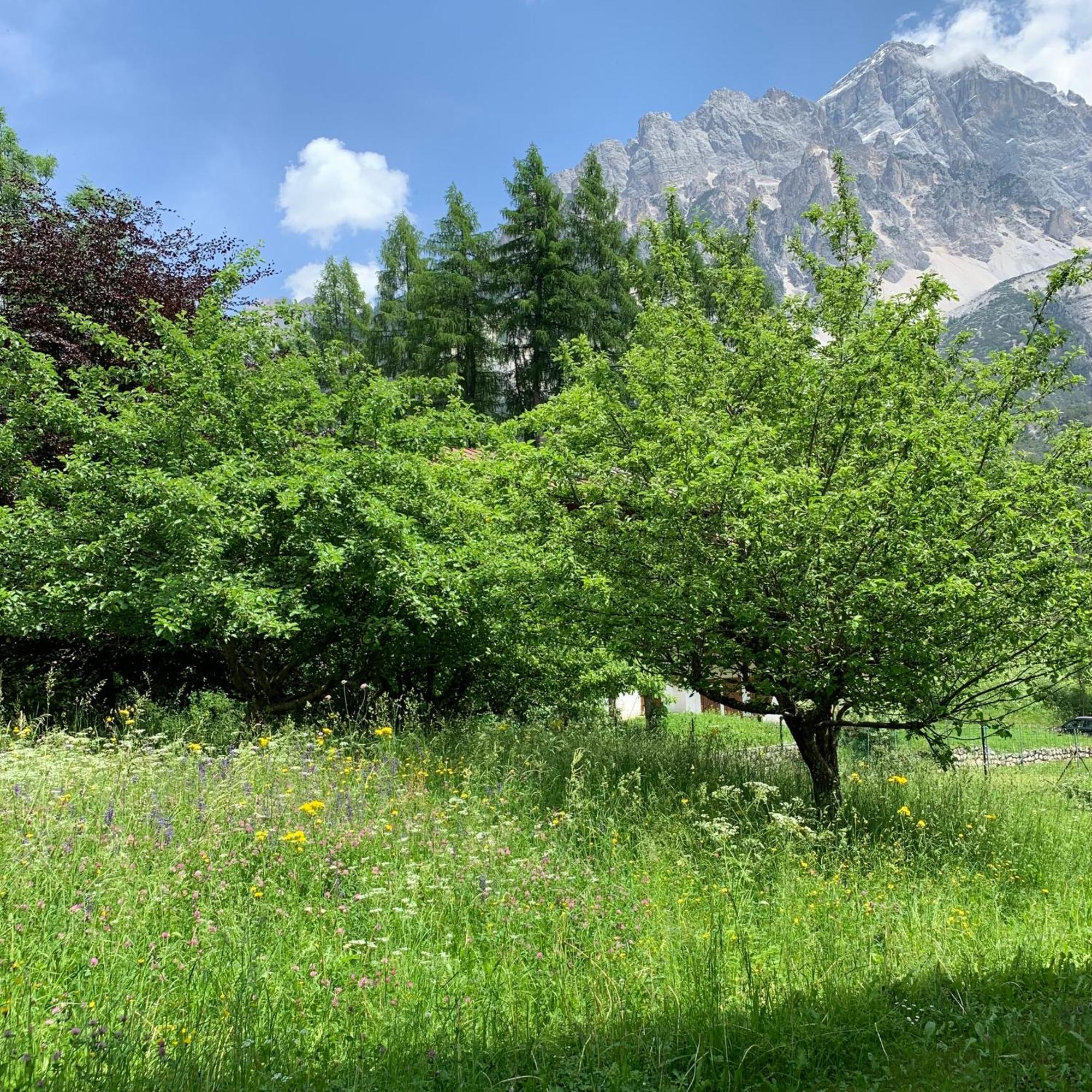 Villanova  Piccolo Gioiello Di Montagna 아파트 외부 사진